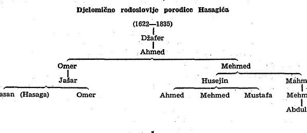 O porijeklu porodice HASAGIĆI